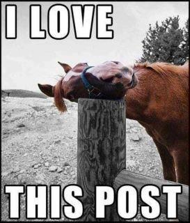 love_post