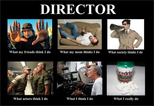 Meme-Director-540x371