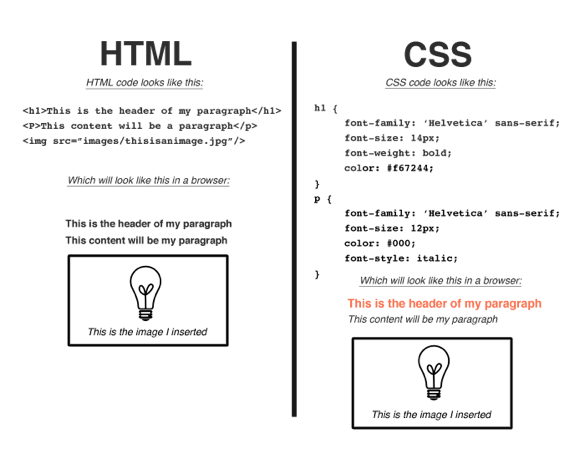 HTML, CSS, Responsive Web Design, Specs Howard, Graphic Design, Tutorial