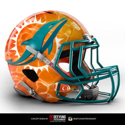 dolphins_helmet